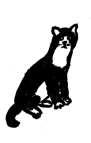 Das Tuch in der Truhe