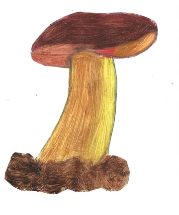 Das böse Waldmännchen als König